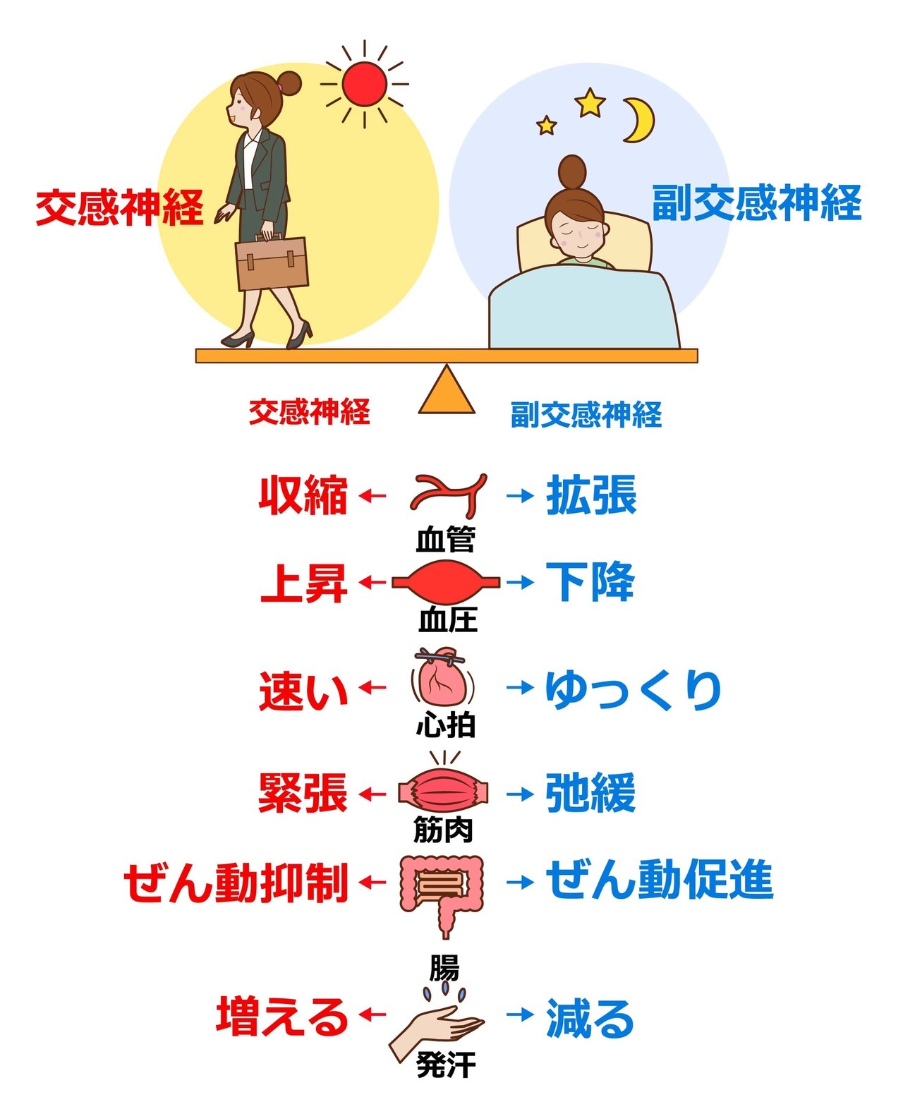 腰痛の原因は自律神経