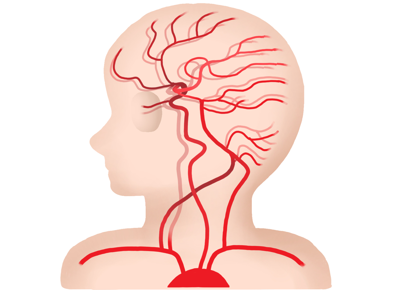 群発頭痛・まず医療機関を優先したいケース