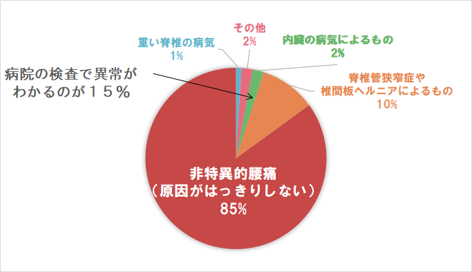 腰痛,種類,原因