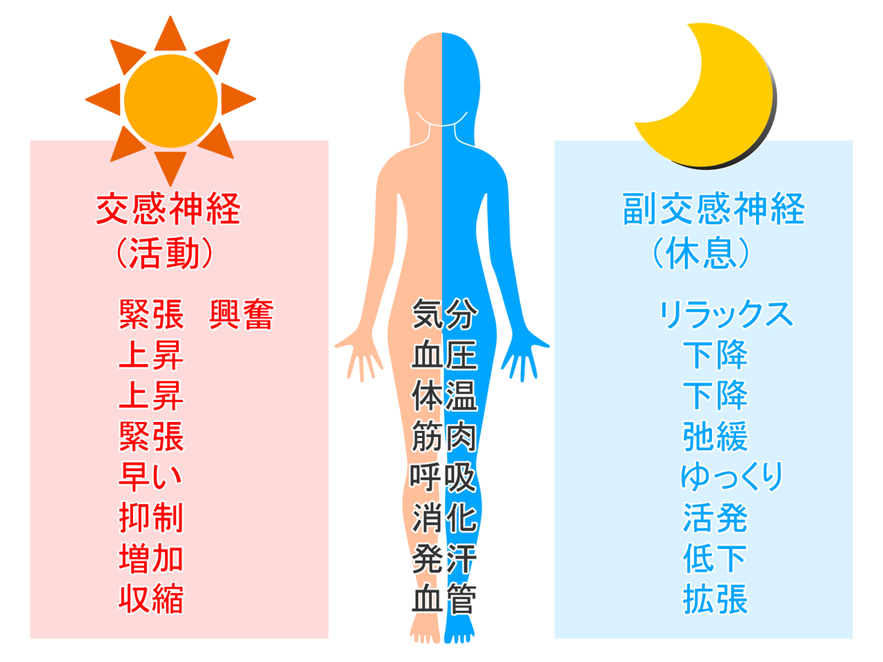 鍼って痛いの？痛くないの？