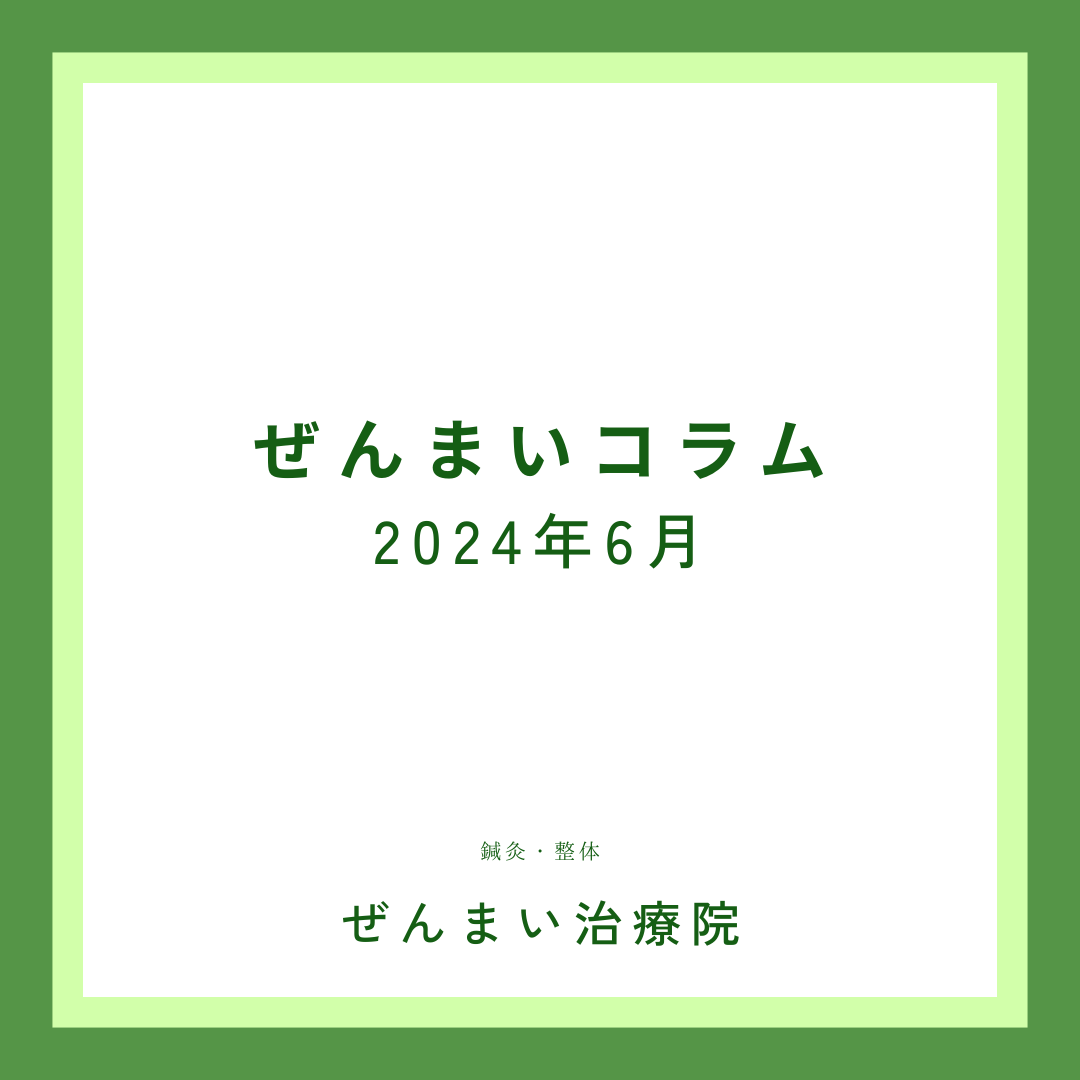 ぜんまいコラム6月