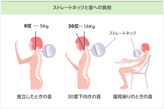 タートルネック,ハイネック,肩こり