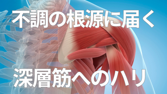 届く場所を見極める鍼